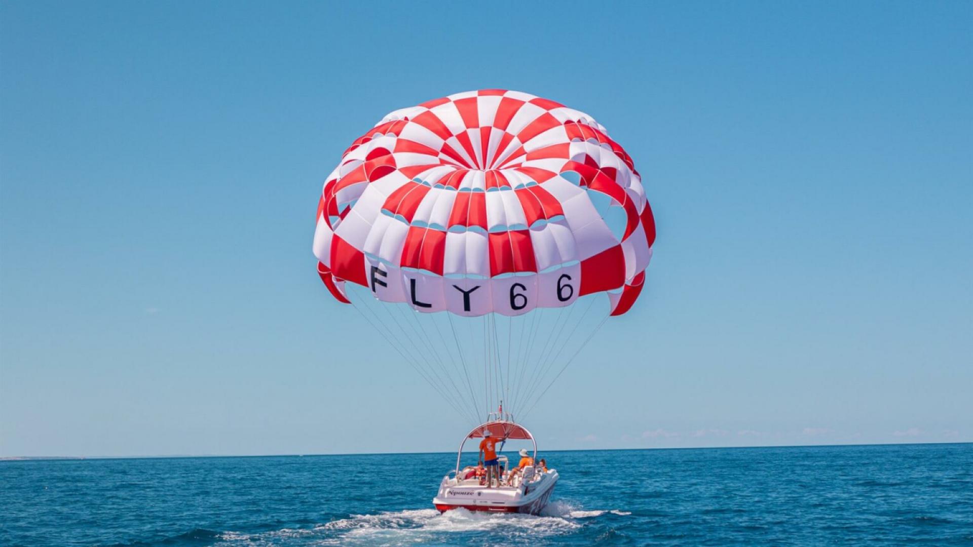 FLY66