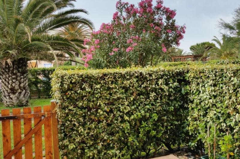 Louvet Françoise jardin Louvet Françoise jardin