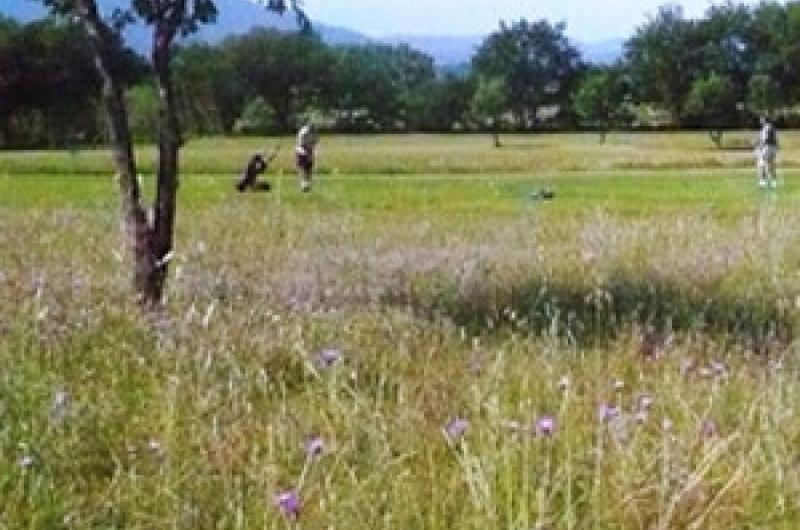 Golf Club de Montescot Golf Club de Montescot